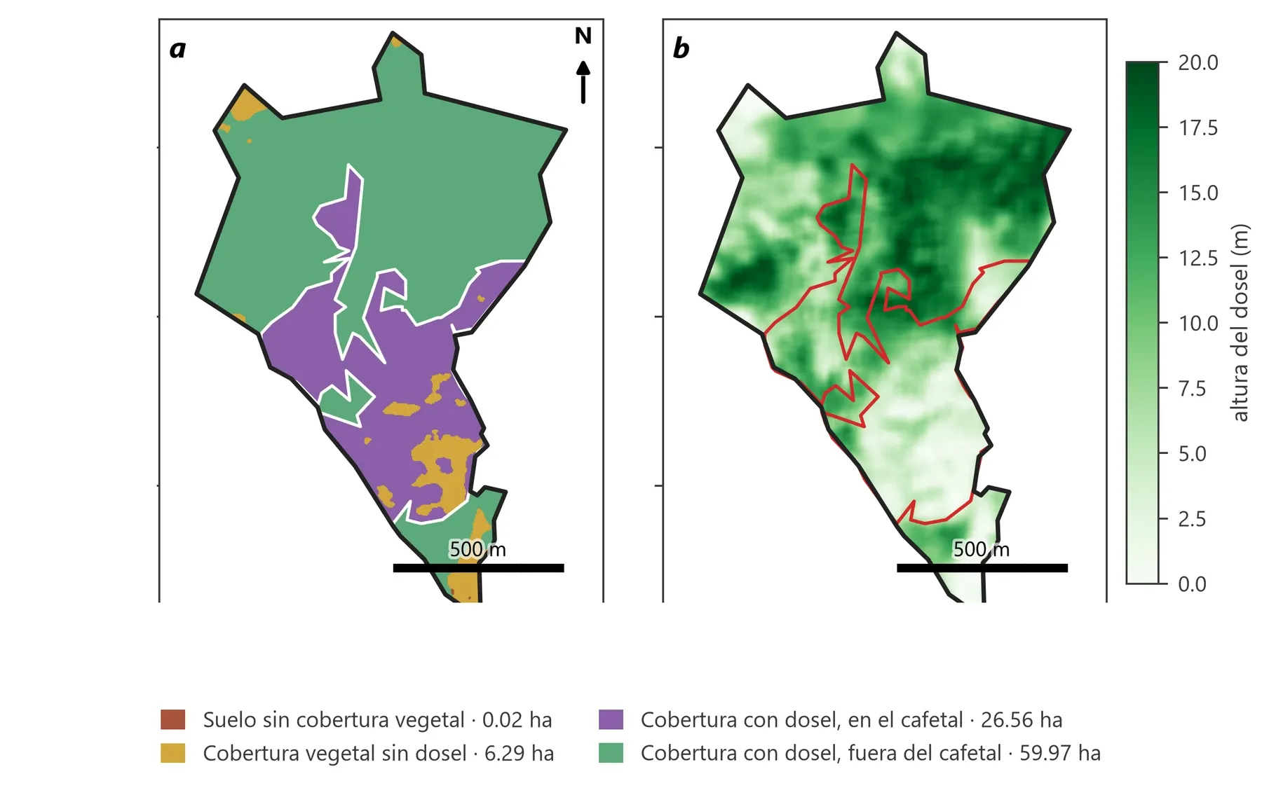 Clases de cobertura y altura del dosel