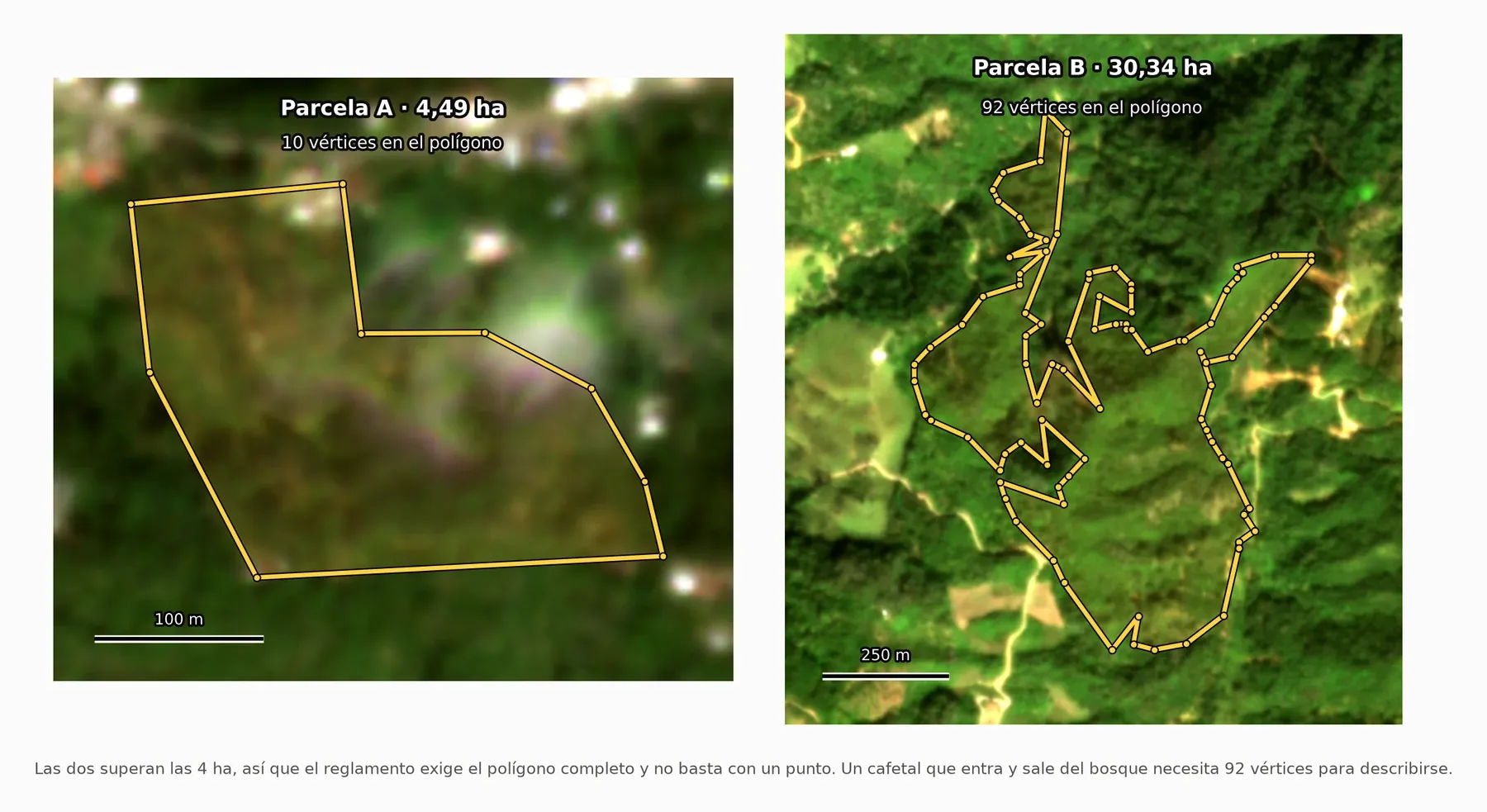 Las dos parcelas sobre imagen de 3 m