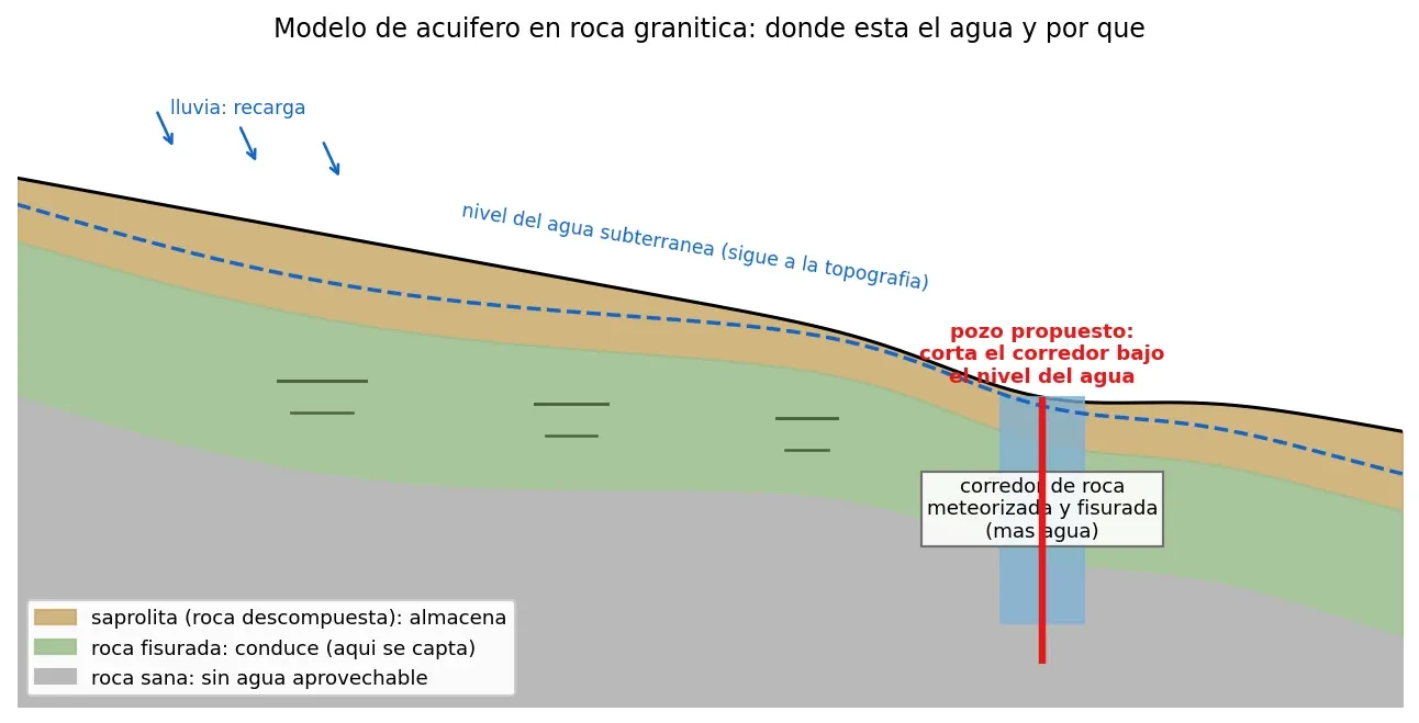 Dónde perforar: la vegetación que no se seca marca el sitio