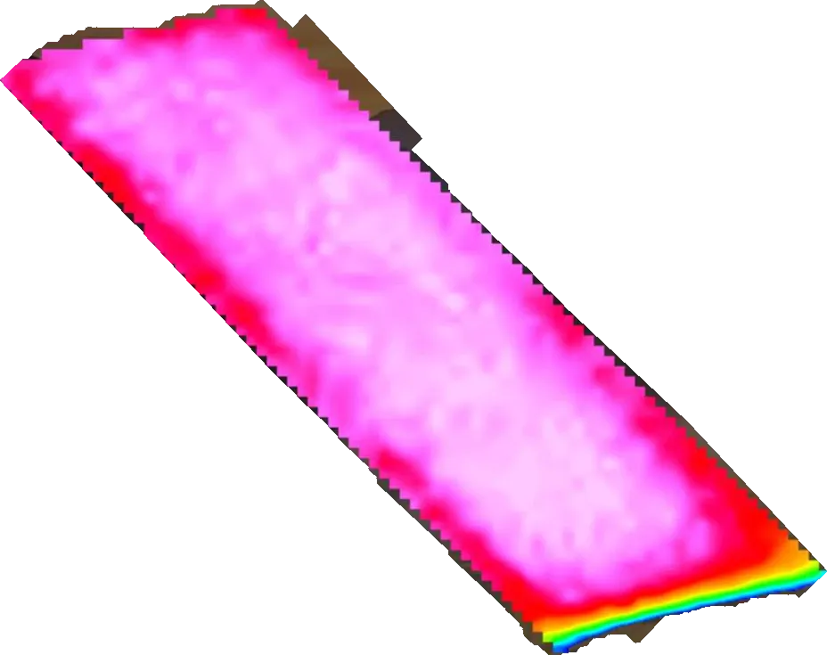 NDVI a principios de agosto