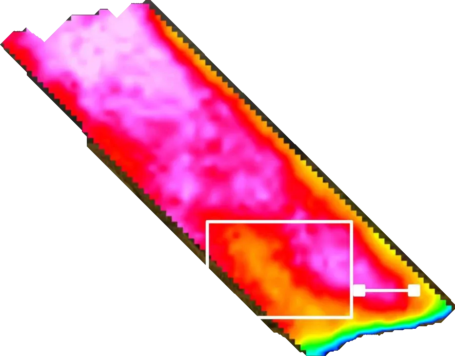 NDVI a finales de agosto