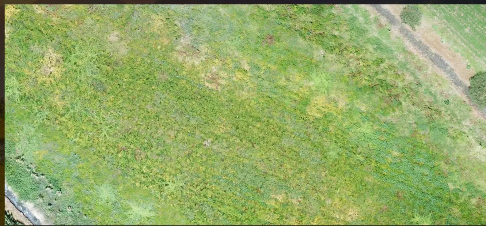 Ortofoto de dron, sector norte, 11 de septiembre de 2021