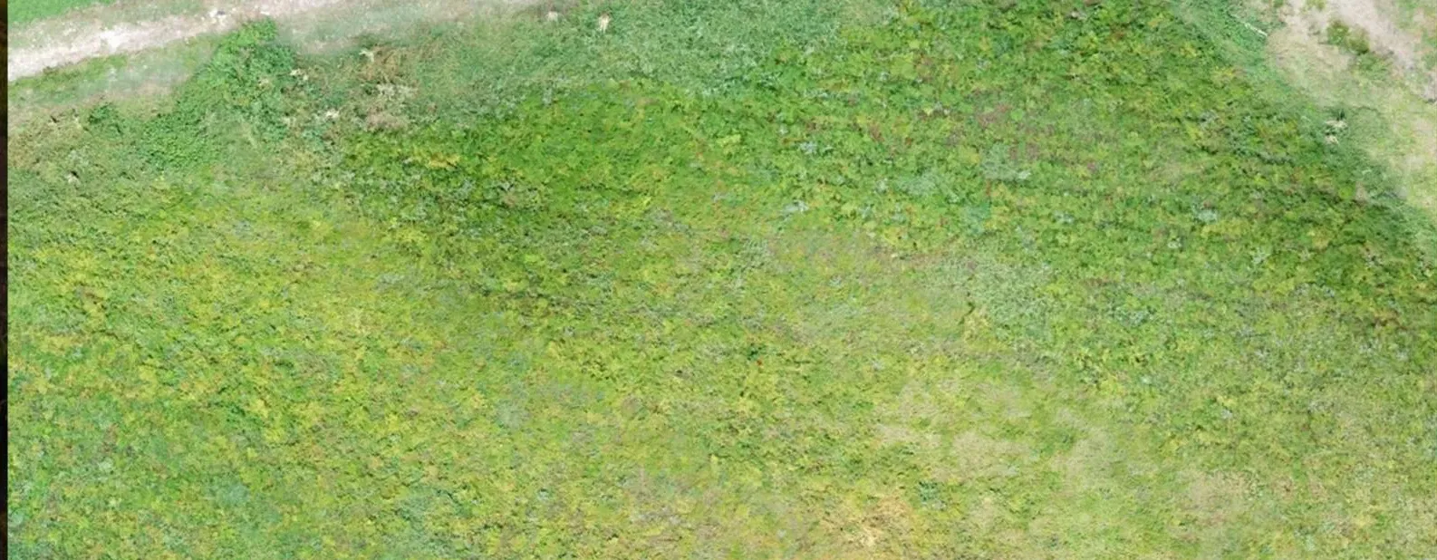 Ortofoto de dron, sector sur
