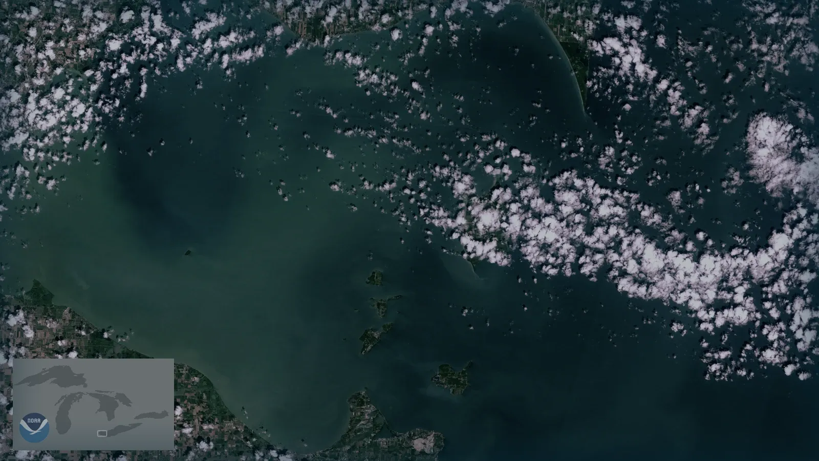 Floración algal visible desde satélite en un lago de gran extensión.