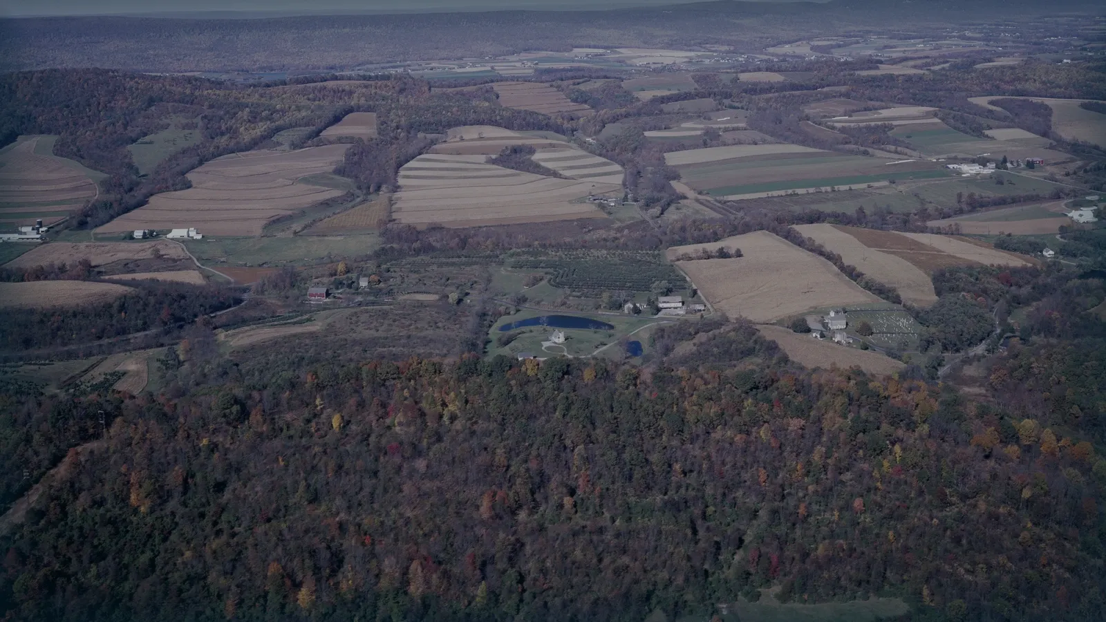 Mosaico de parcelas agrícolas y bosque visto desde el aire.