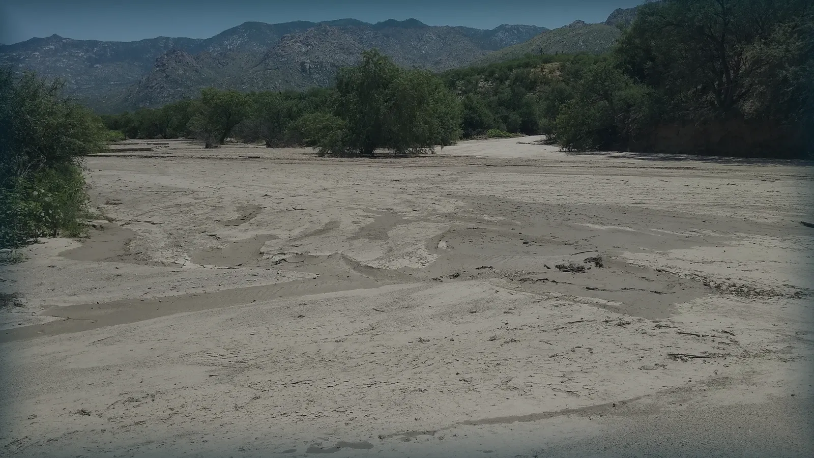 Cauce seco y arenoso de un arroyo entre laderas de matorral.